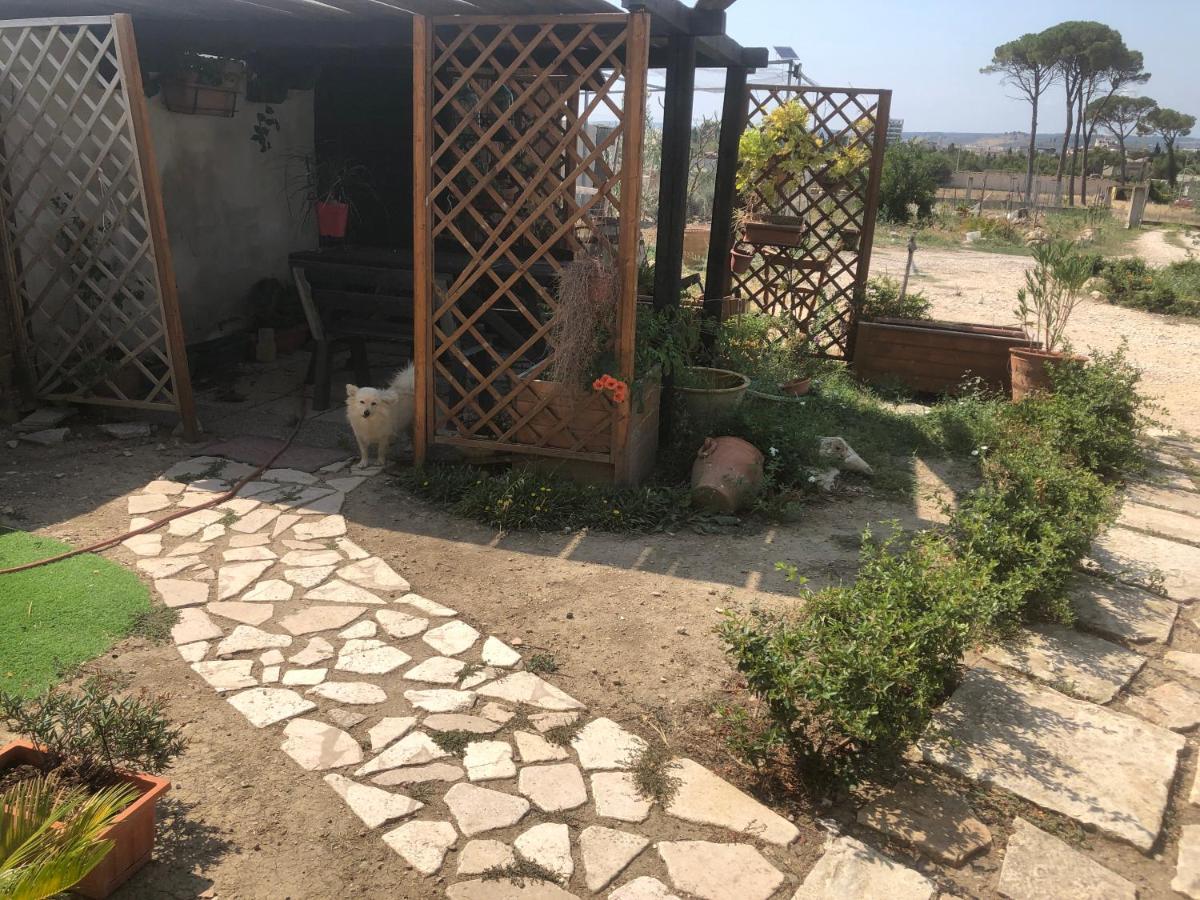 Villa Radiosa Gravina in Puglia Exteriör bild